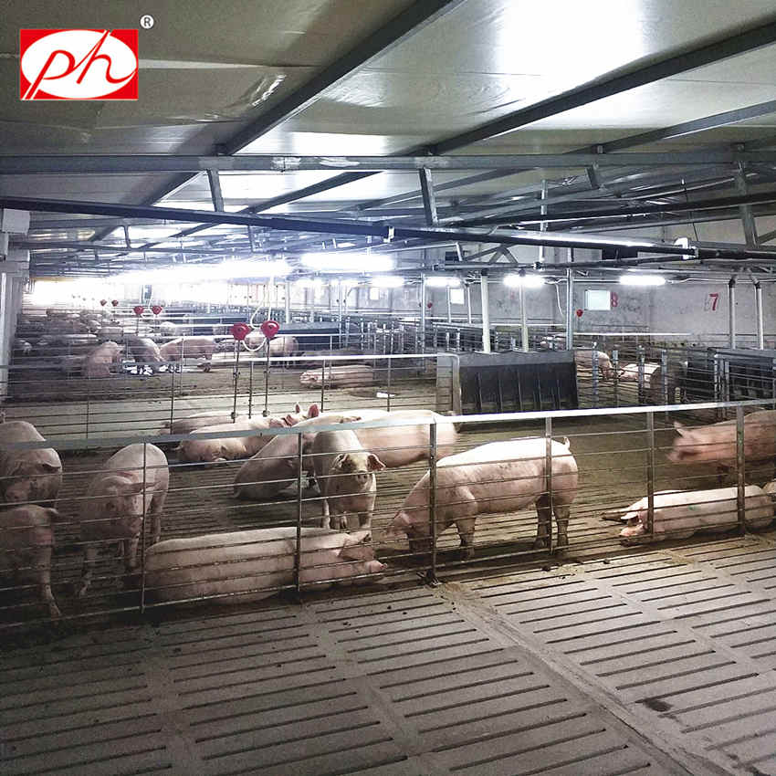 �����i���