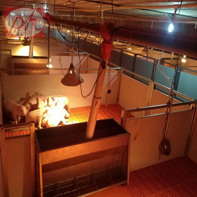 ������,С�i���������߶˱�����λ�����ر�����