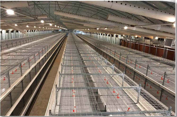 �\�B(y��ng)���u  ���u�\�B(y��ng) �F(xi��n)�����B(y��ng)�u �\�B(y��ng)�u