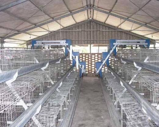 �S���ǂ�(g��)����ǧ�f(w��n)�����S�����M(f��i)��